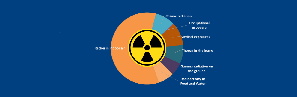 Decorative image for average radiation dose 2024