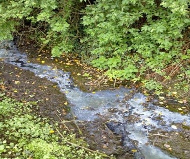 Waste water from a defective septic tank system going to a drain